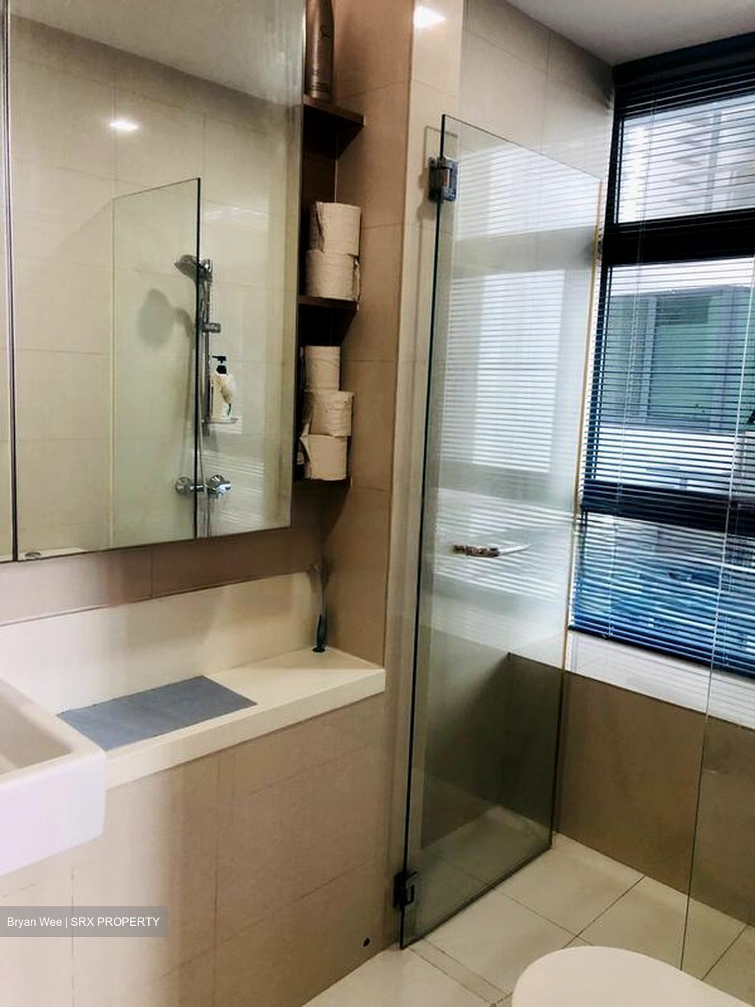Soleil @ Sinaran (D11), Condominium #460310311